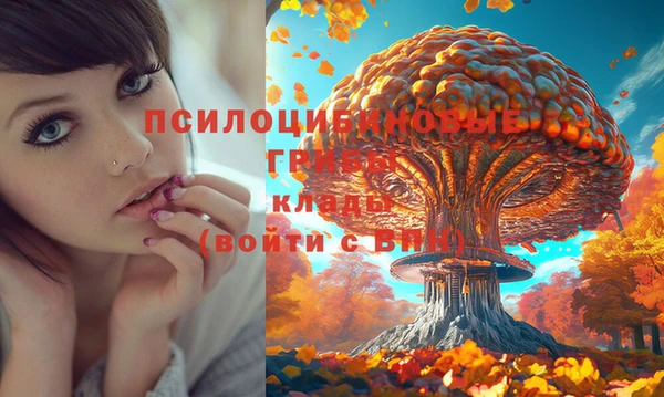 молекула духа Алзамай