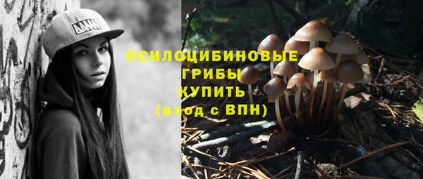 каннабис Покачи