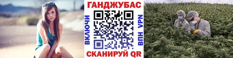 Канабис AK-47  Сельцо 